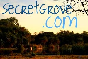 SecretGrove.com